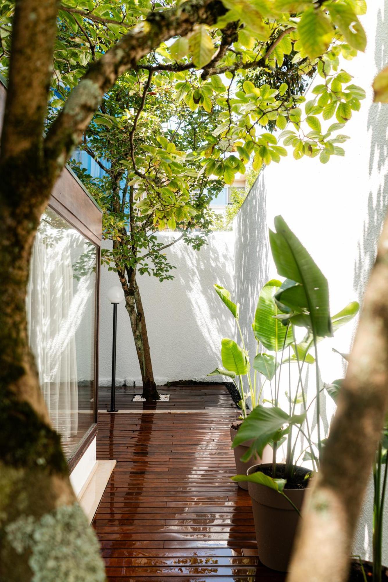 Seaside Cozy Apartment With Private Terrace ポルト エクステリア 写真